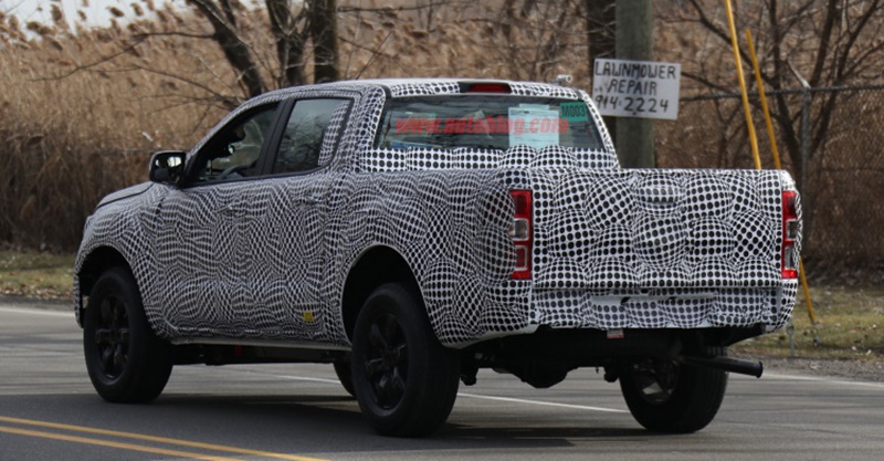 ranger-mule-010-copy-1