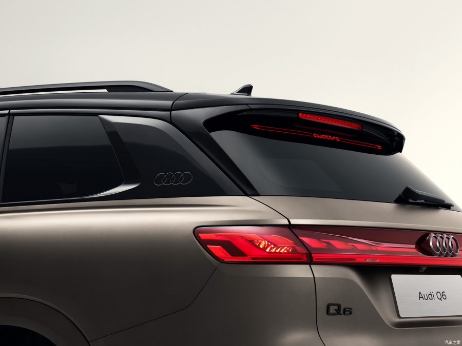 Audi shop 2021 q6